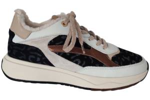 FLORIS VAN BOMMEL sneaker FLORIS VAN BOMMEL 10138-60-01  SUVI