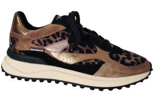 FLORIS VAN BOMMEL sneaker FLORIS VAN BOMMEL 10085-34-01