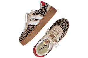 POELMAN C1152148APSH1 bruin sneaker - www.claessensschoenen.nl
