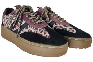 POELMAN LPANEMONE-49POE1 bruin sneaker - www.claessensschoenen.nl