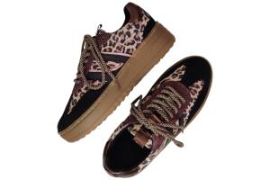 POELMAN LPANEMONE-49POE1 bruin sneaker - www.claessensschoenen.nl
