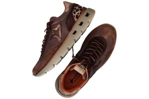 CETTI C 1295 bruin sneaker - www.claessensschoenen.nl
