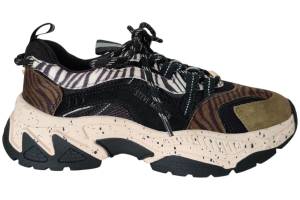 STEVE MADDEN sneaker STEVE MADDEN 11004763