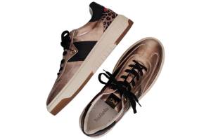 NERO GIARDINI 411647 brons sneaker - www.claessensschoenen.nl