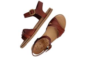 BLOWFISH MONTI bruin sandaal - www.claessensschoenen.nl