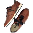Sneasker Rojaro Cognac