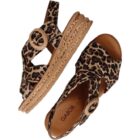 Sandaal 84.556.32 Bruin