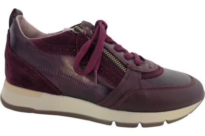 Sneaker 7116 Bordo