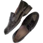 Loafer 7183  Bordo
