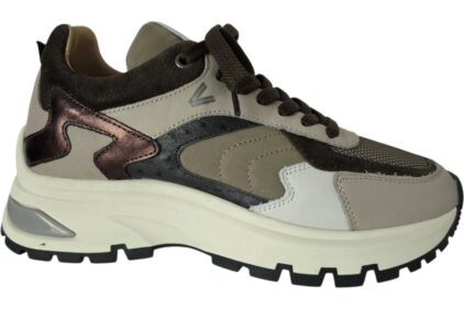 Sneaker Liz Leighton Bruin
