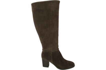 Laars  CLSHN2559 Bruin