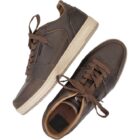 Sneaker Sunday Cup Bruin
